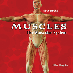 Body Works: Set 1 | Rosen Publishing