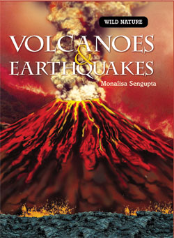 Volcanoes And Earthquakes 