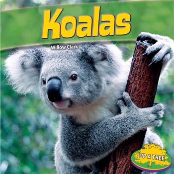 Koalas | Rosen Publishing