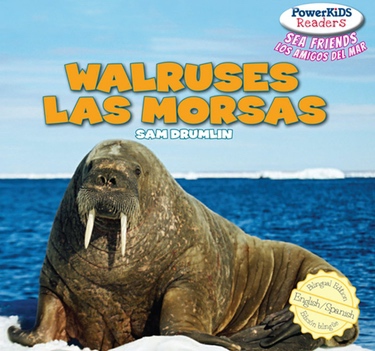 La migración de la morsa (Walrus Migration) (Spanish Version) - San Diego  County Library - OverDrive