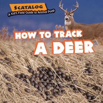 How to Track Deer  