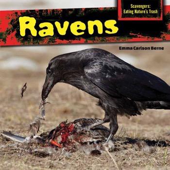Scavengers Eating Nature S Trash Rosen Publishing