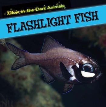 Glow-in-the-Dark Animals | Rosen Publishing