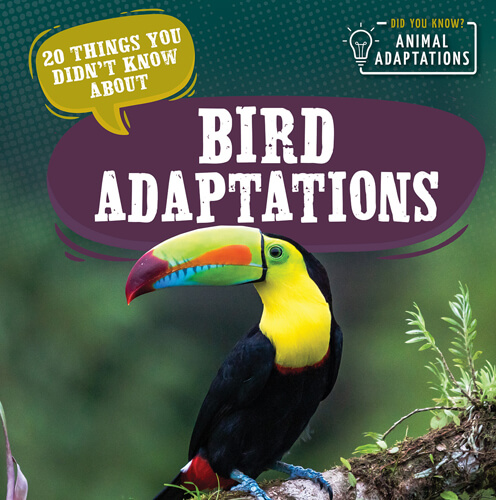 Did You Know? Animal Adaptations | Rosen Publishing