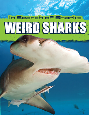 weird sharks